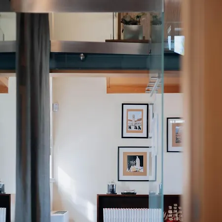 Confluentia H&a - Believe It Or Not 게스트하우스 4*