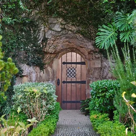 Confluentia H&a - Believe It Or Not Guest house *